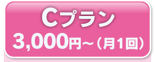 Ｃプラン　３，０００円～（月１回）